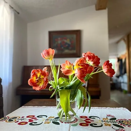 Zacisze Фермерский дом Карлув