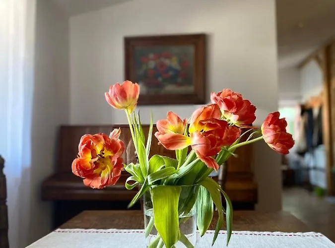 Zacisze Farm stay Karlow